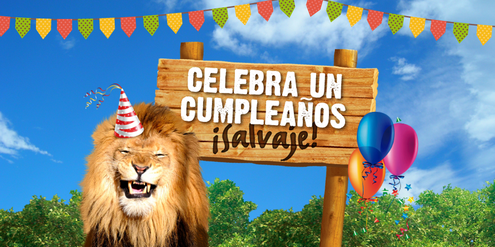 Buin Zoo En Teletrece Cumpleaos 17 De Buin Zoo Y Bendicin Buin Zoo En Teletrece Cumpleaos 17 De Buin Zoo Y Bendicin